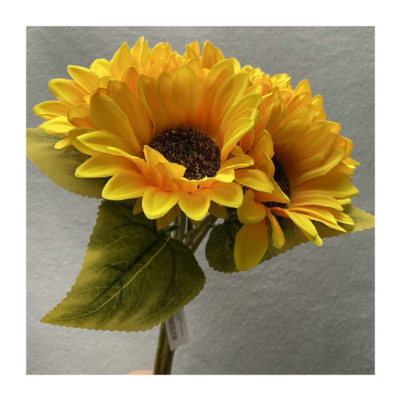 Sunflower 001