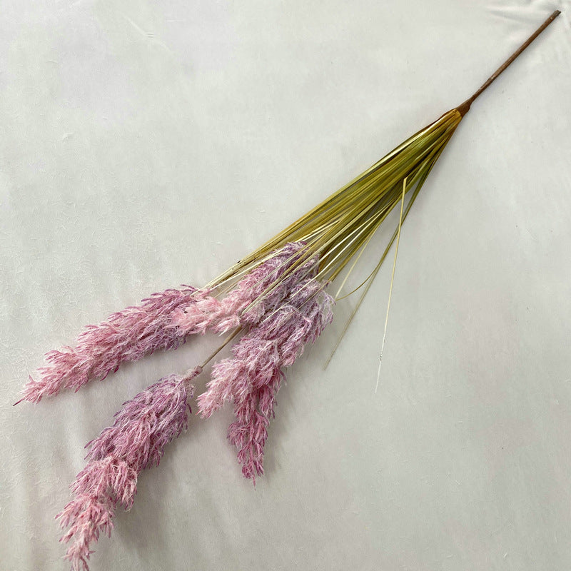 Reed Grass 005