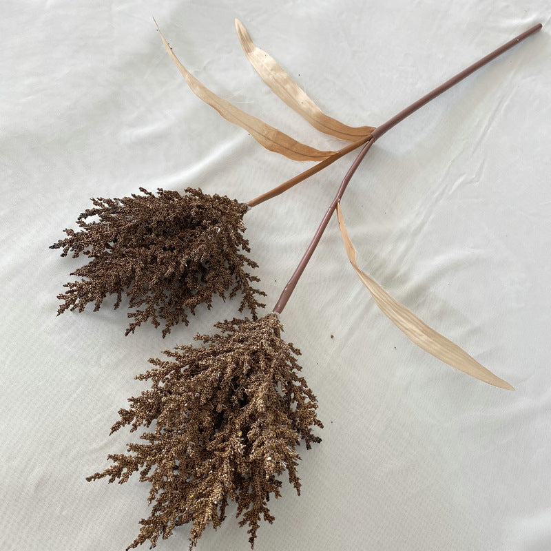 Reed grass 002