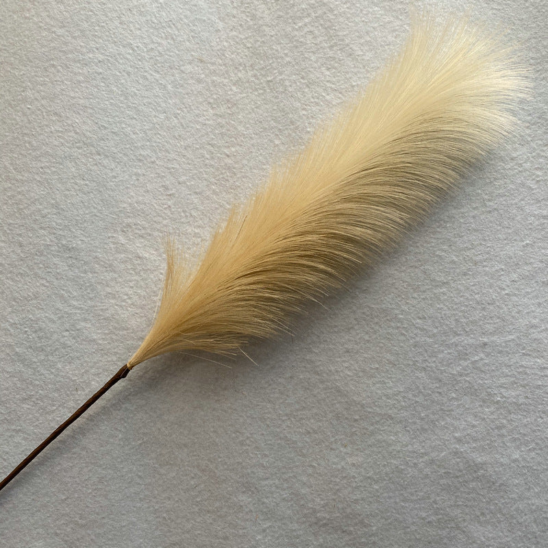 Reed grass 003