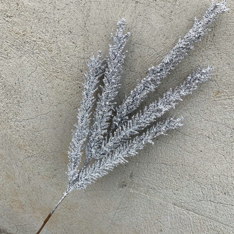 Reed grass 009