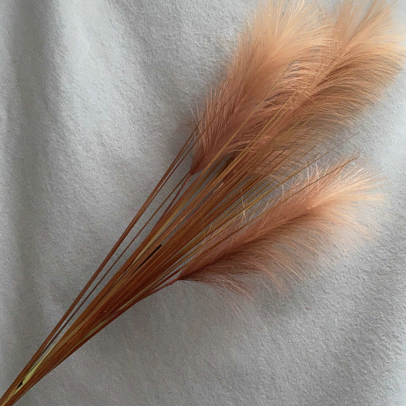 Reed grass 010
