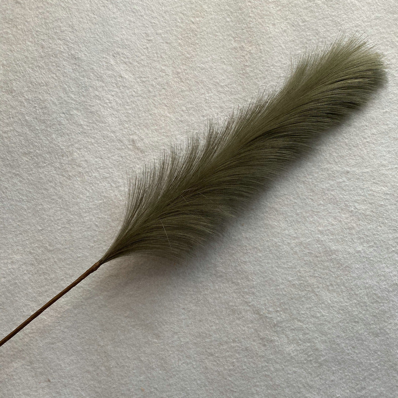 Reed grass 003