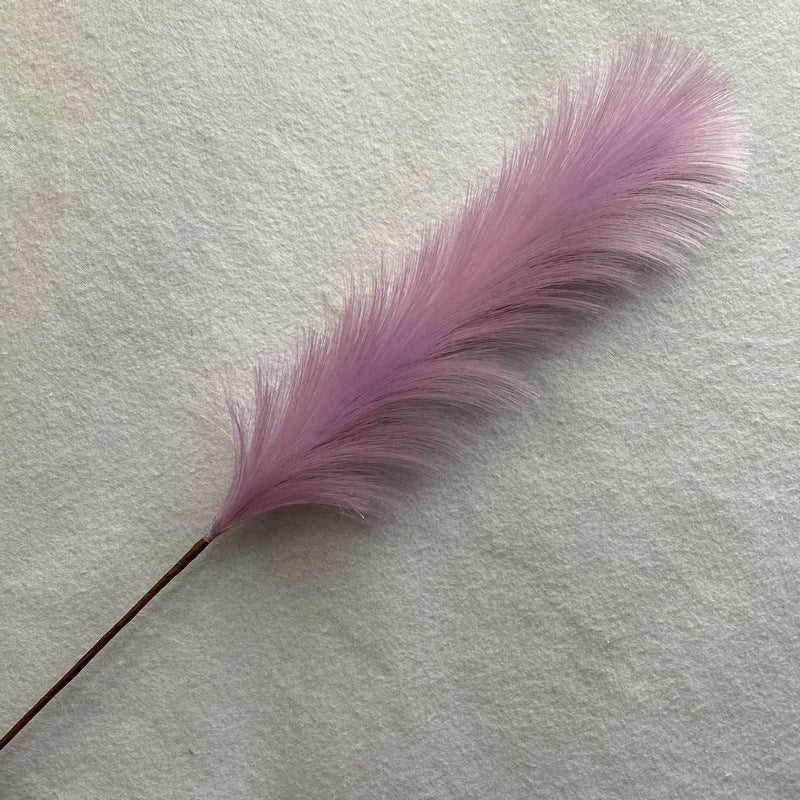 Reed grass 003