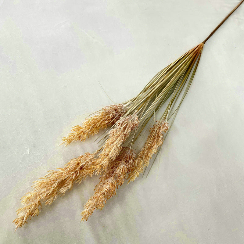 Reed Grass 005