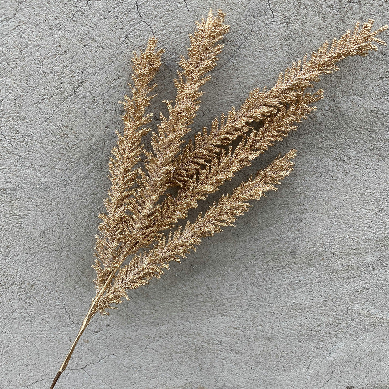 Reed grass 009