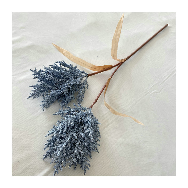 Reed grass 002