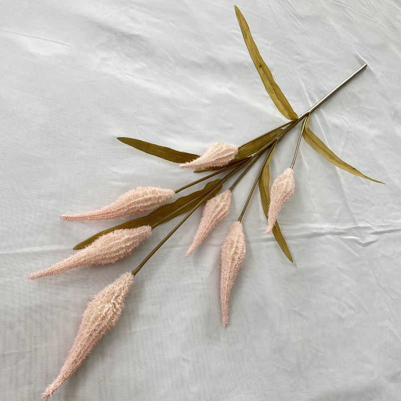Reed grass 008