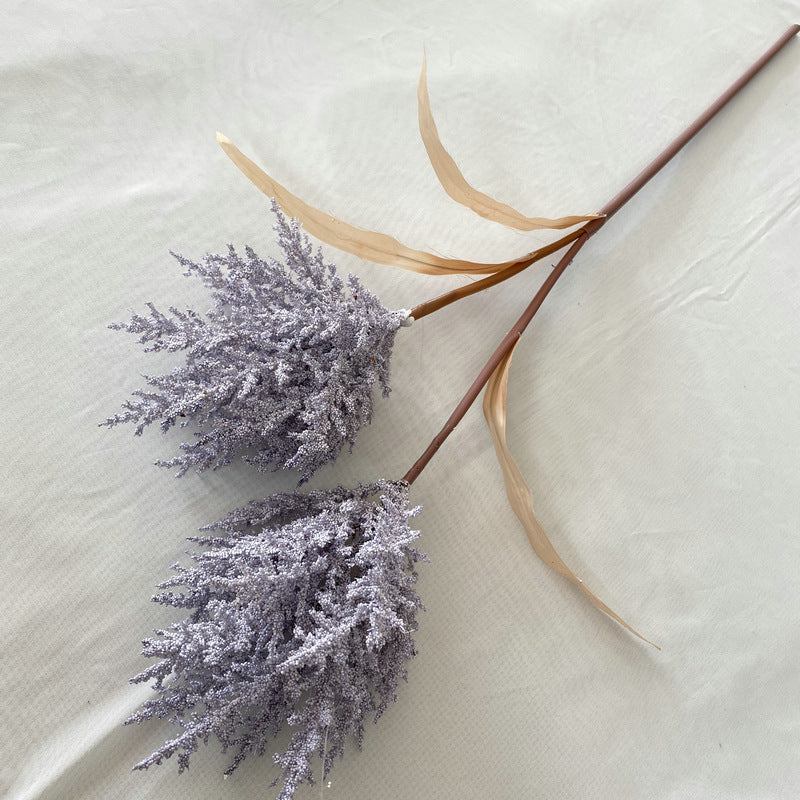 Reed grass 002