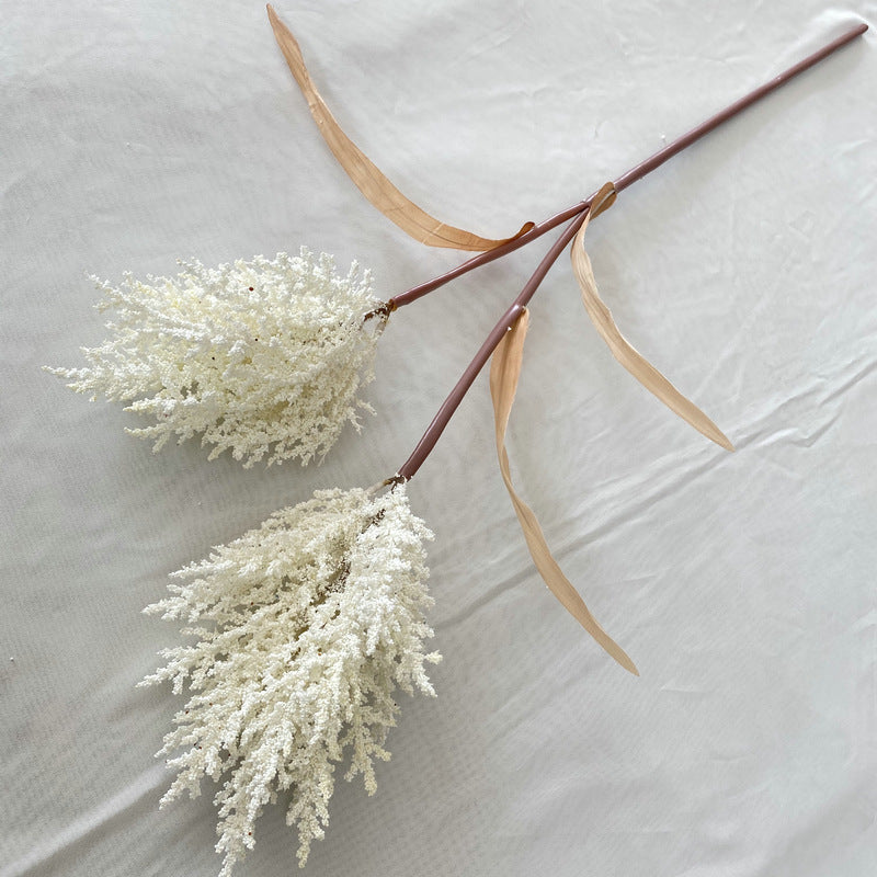 Reed grass 002
