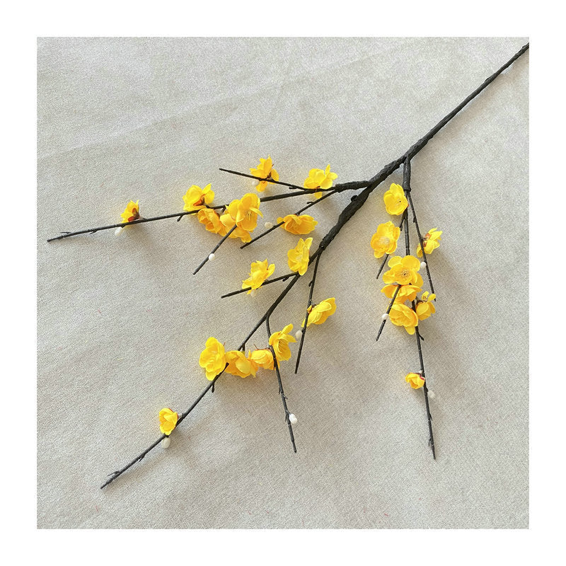 plump blossom009