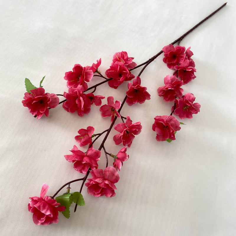 peach blossom 004