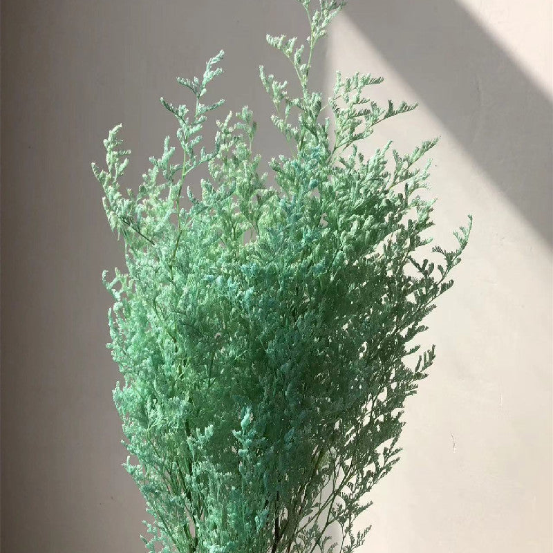 green plant 05