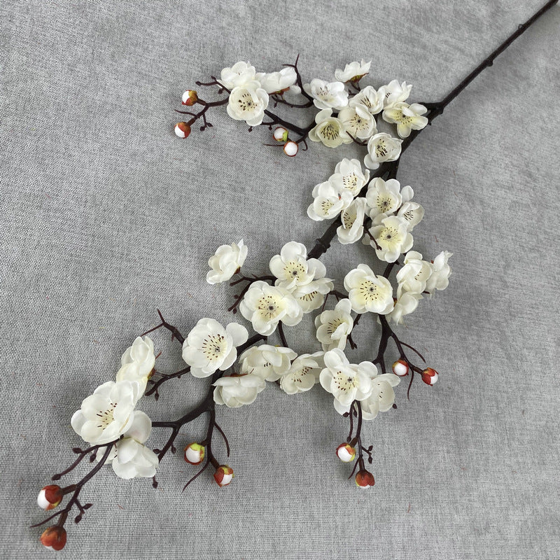 plump blossom010