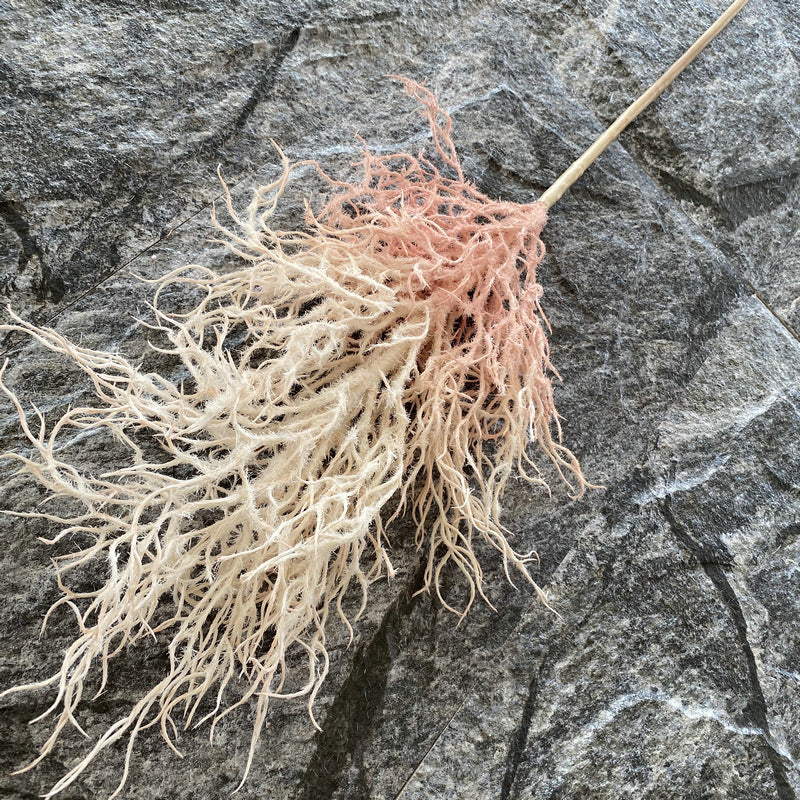 Reed grass 006