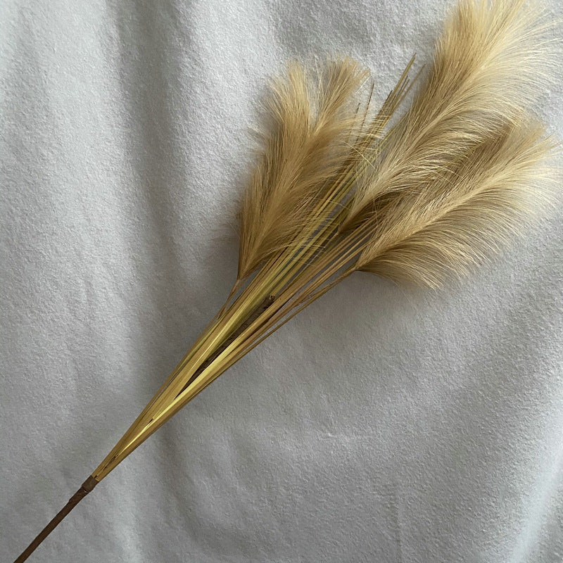 Reed grass 010