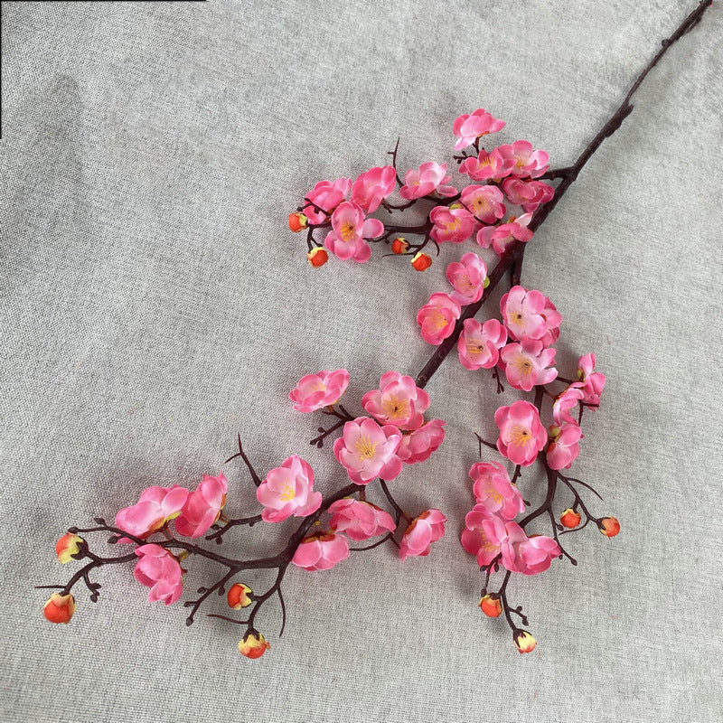 plump blossom010