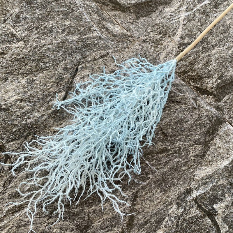 Reed grass 006