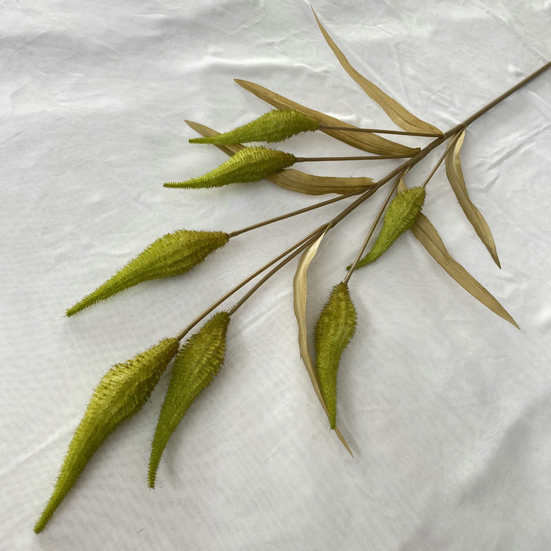 Reed grass 008
