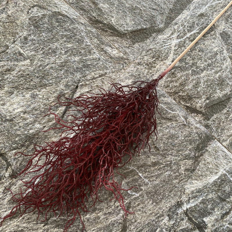 Reed grass 006