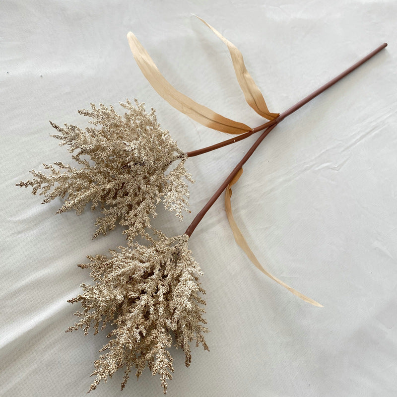 Reed grass 002