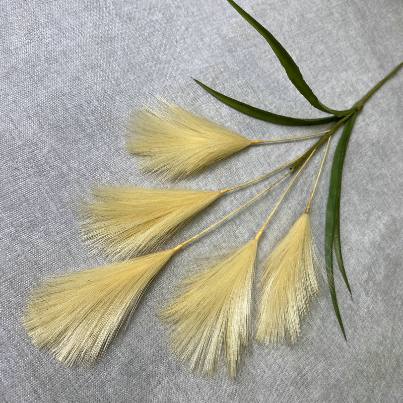 Reed grass 004