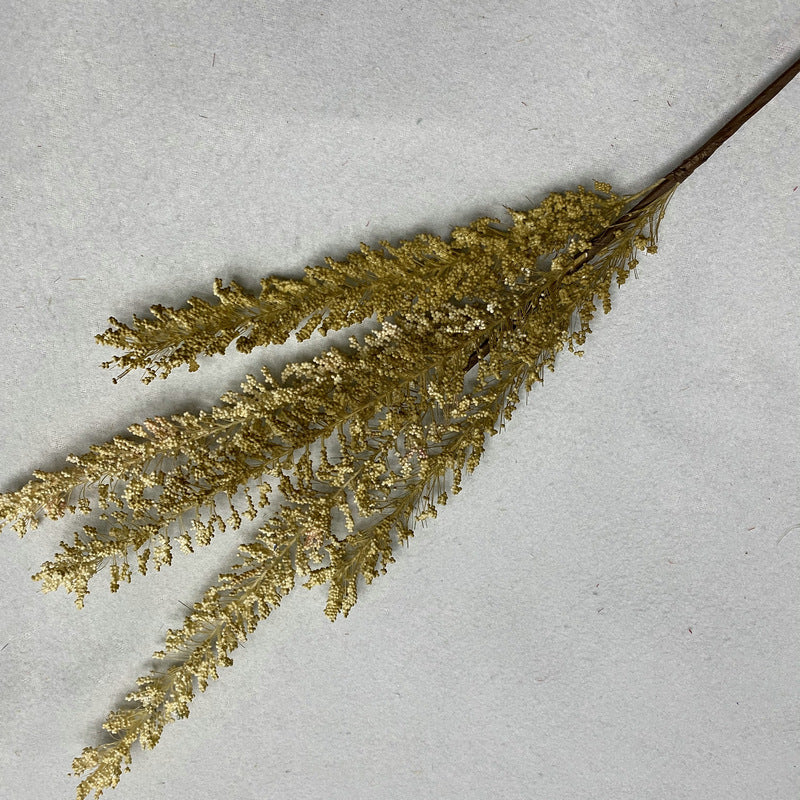 Reed grass 009