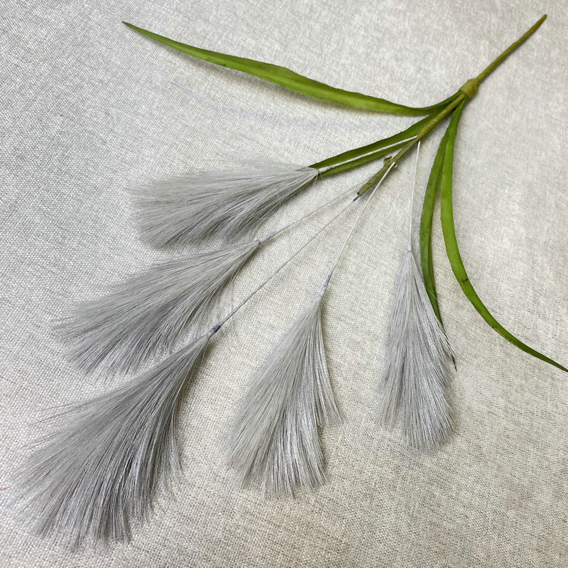 Reed grass 004