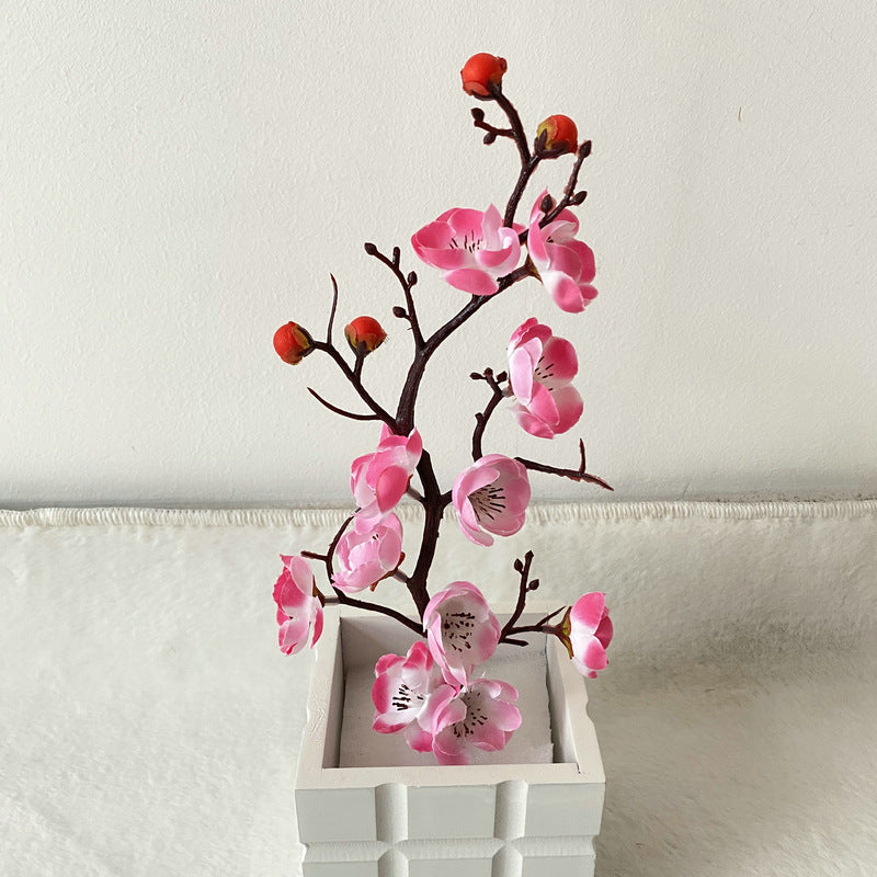 Plump blossom006