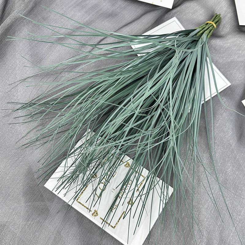 Reed grass 001