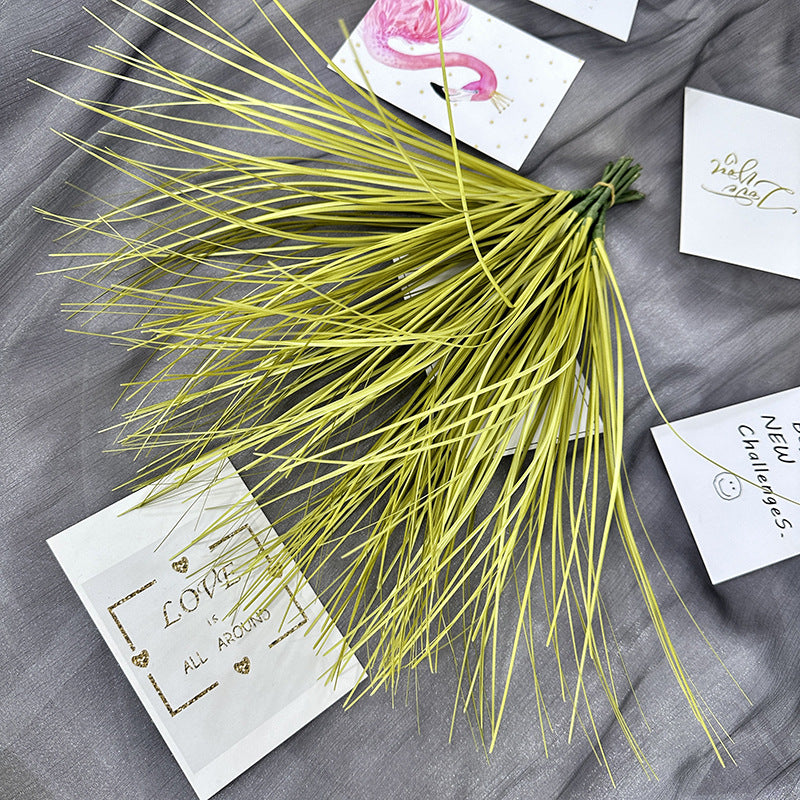 Reed grass 001