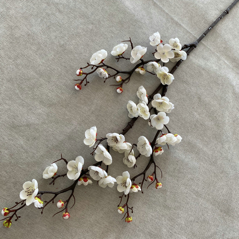Plump blossom004