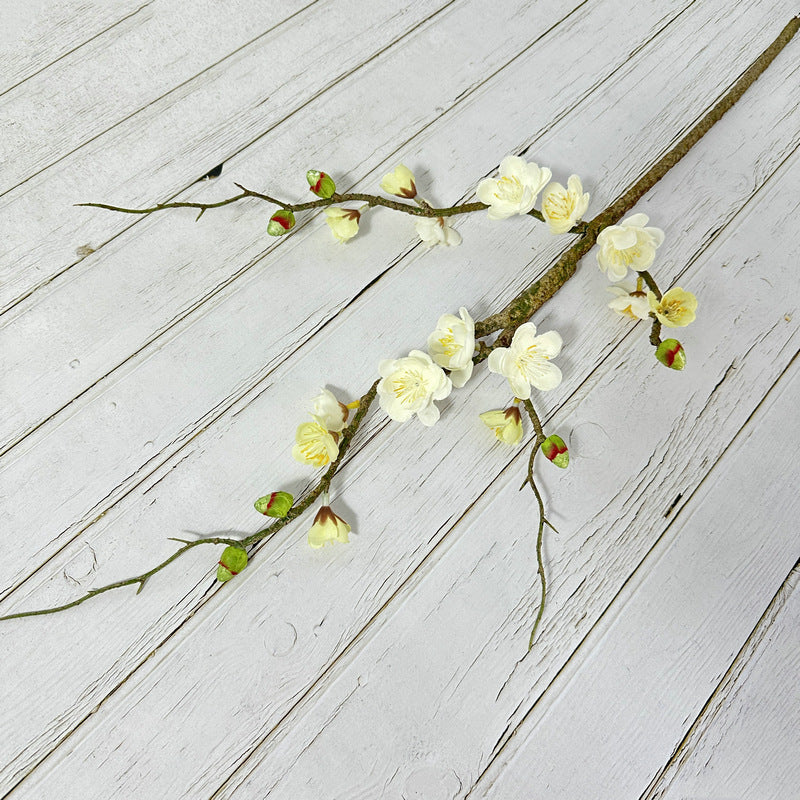 plump blossom007