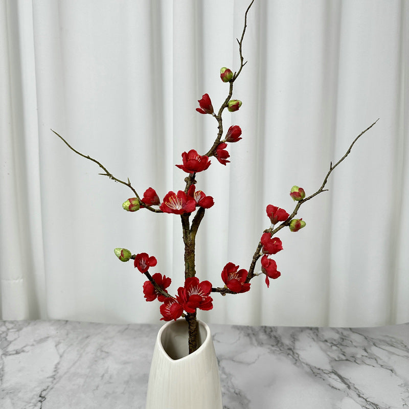 plump blossom007