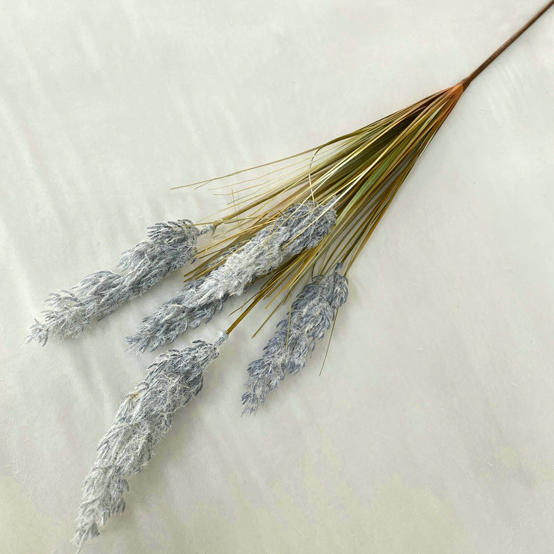 Reed Grass 005