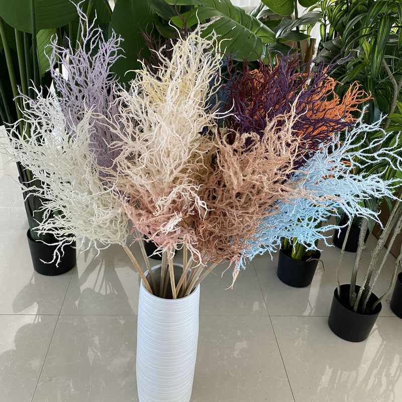 Reed grass 006