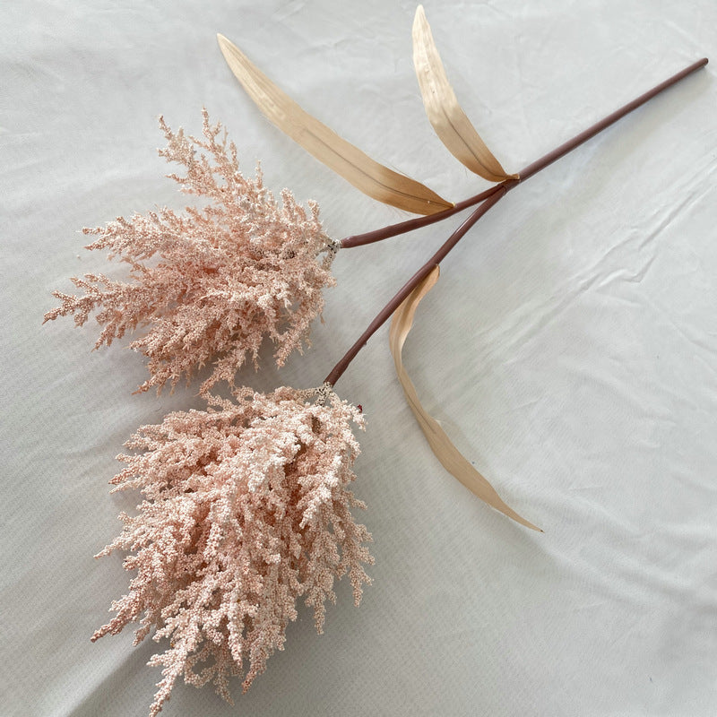 Reed grass 002