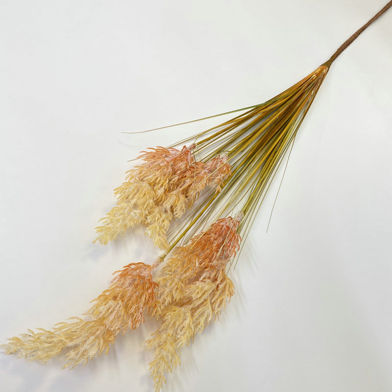 Reed Grass 005