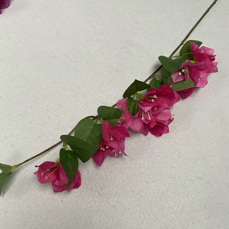 Plum Blossom001