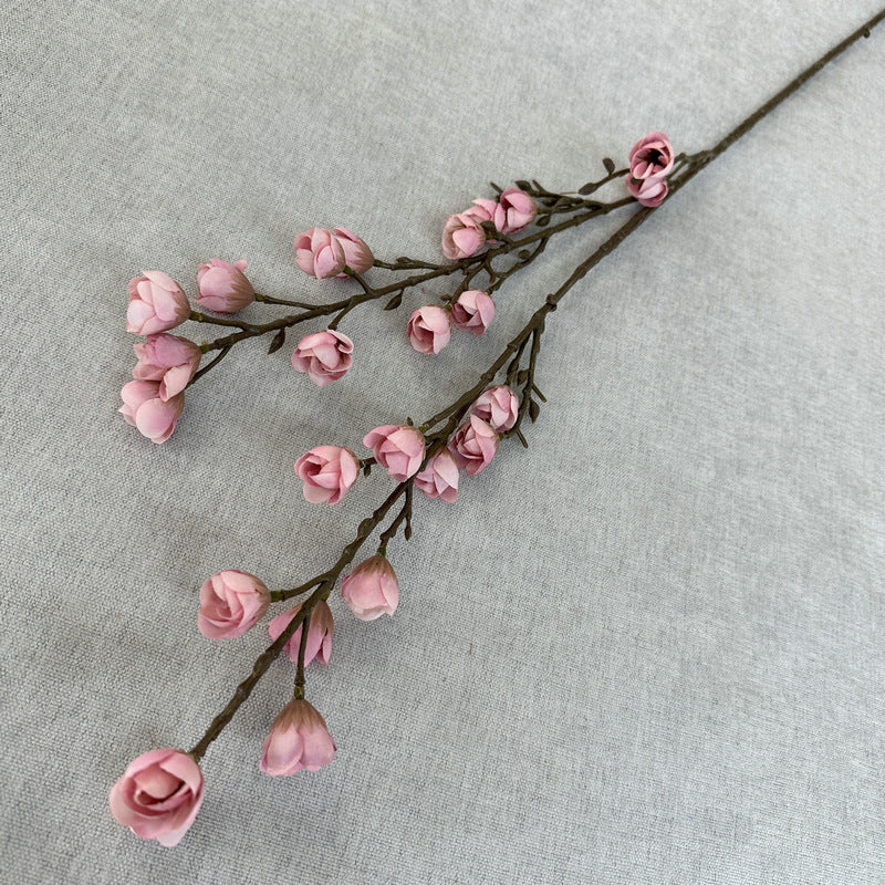 plump blossom008