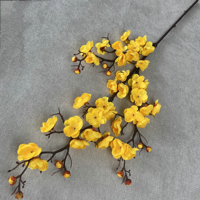 Plump blossom004