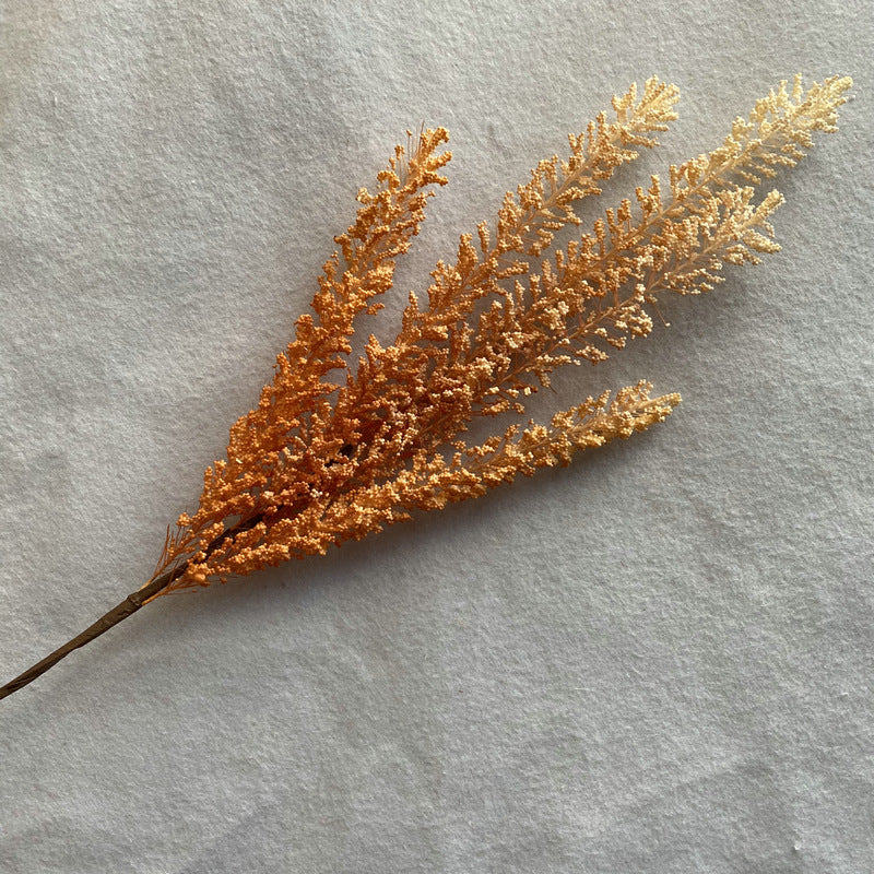 Reed grass 009