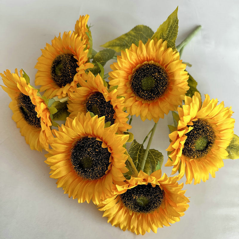 Sunflower 005