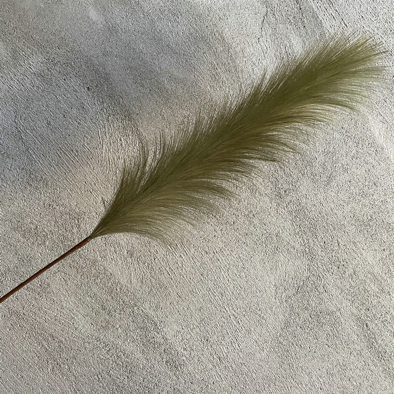 Reed grass 003