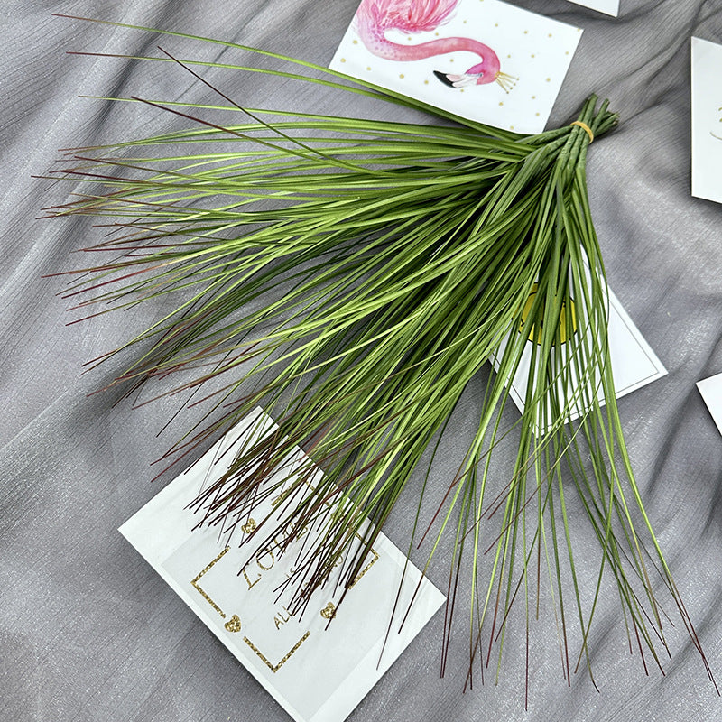 Reed grass 001