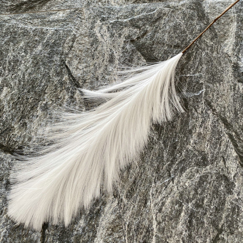 Reed grass 007
