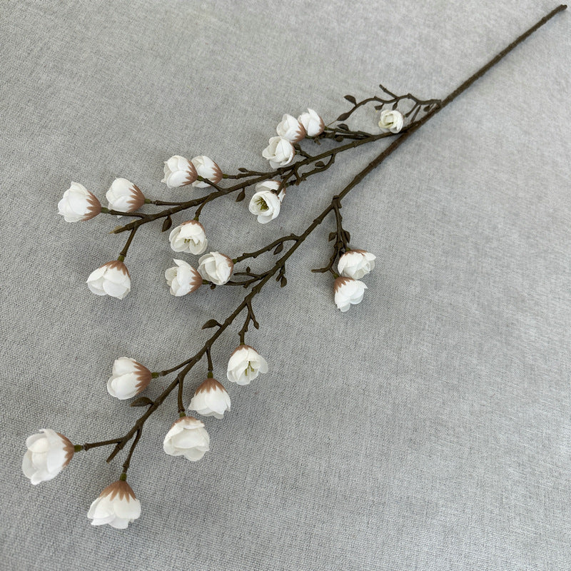 plump blossom008