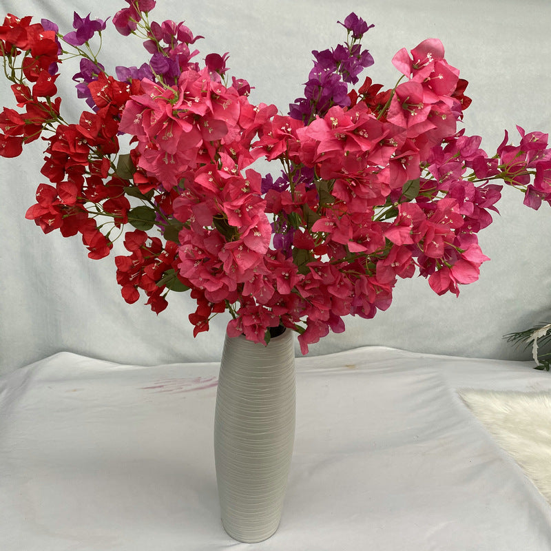 Plum Blossom001