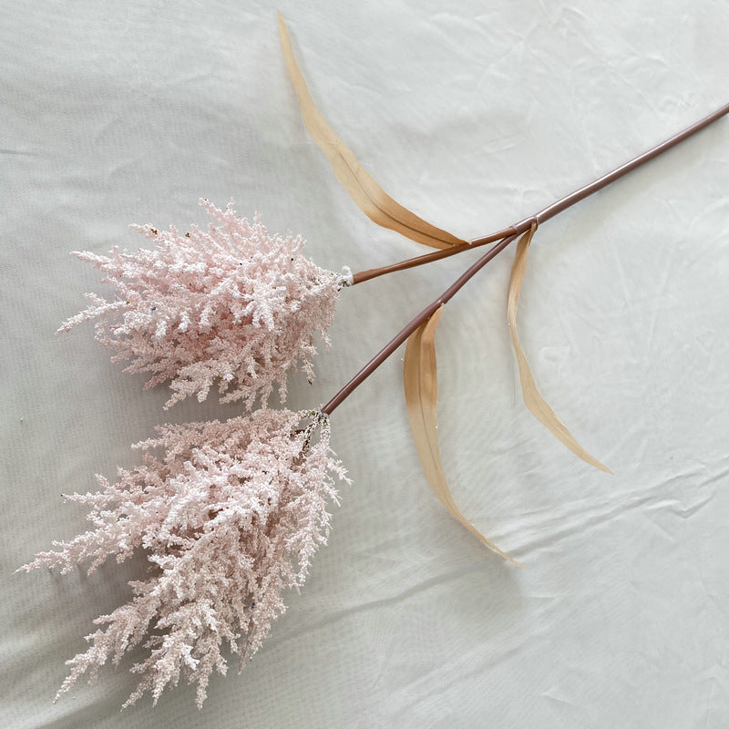Reed grass 002