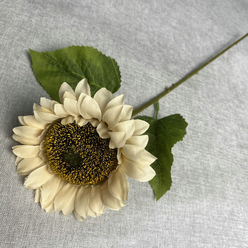 Sunflower 003